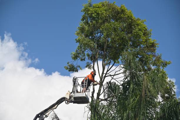 Best Grass Overseeding  in Clinton, WA
